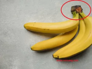 banaan