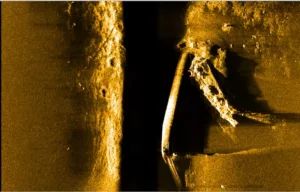 53376095782_d217898271_c