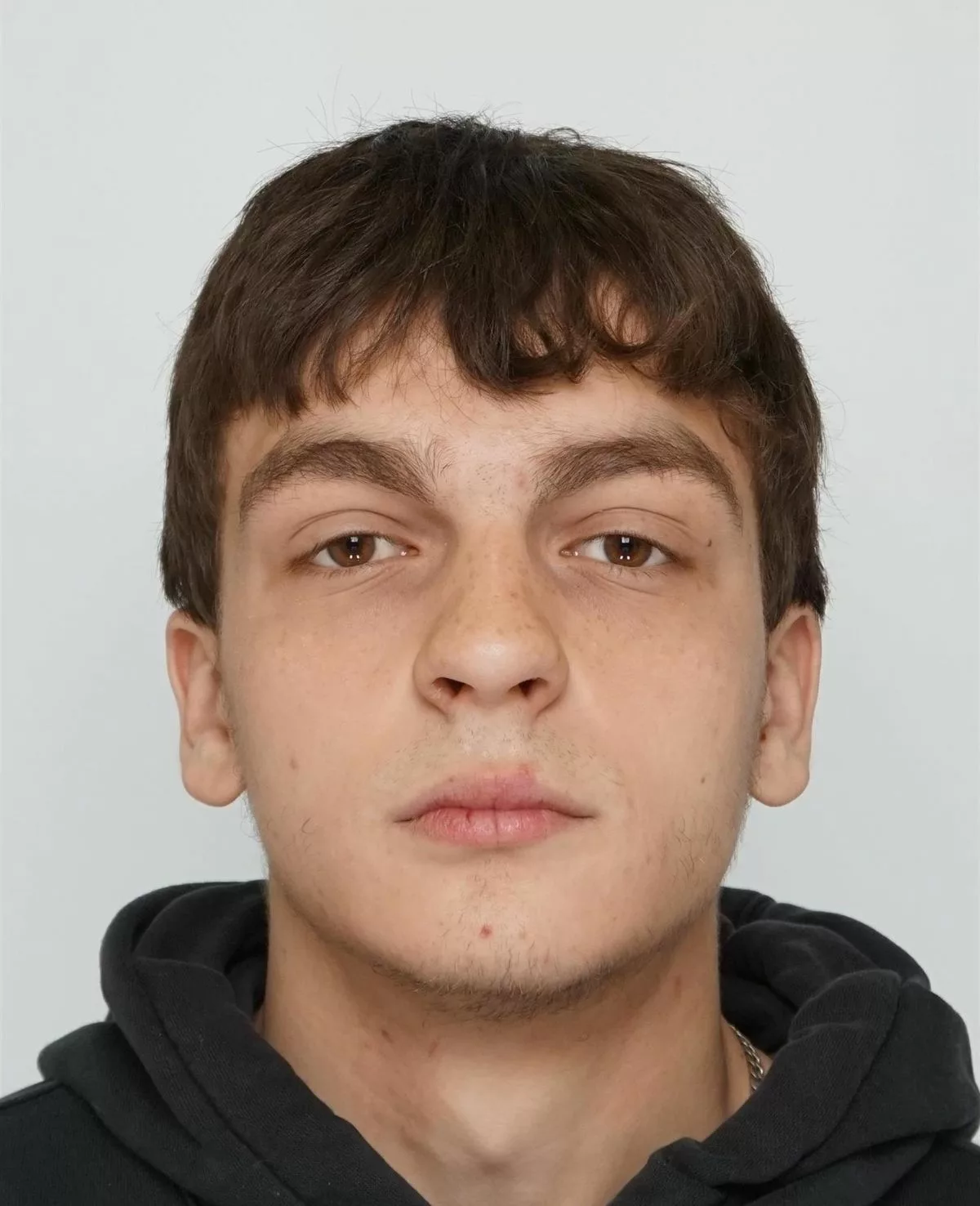 Nikita