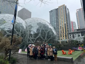 53532289371_2a1b4ff15f_c