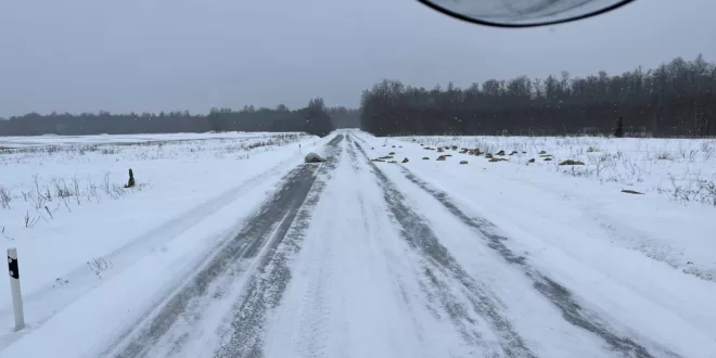 Auvere tsemendikotid 14.02.24