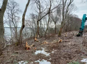 Raie Pakri maastikukaitsealal_foto Keskkonnaamet