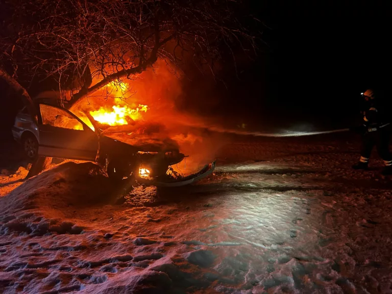 Võisiku autopõleng