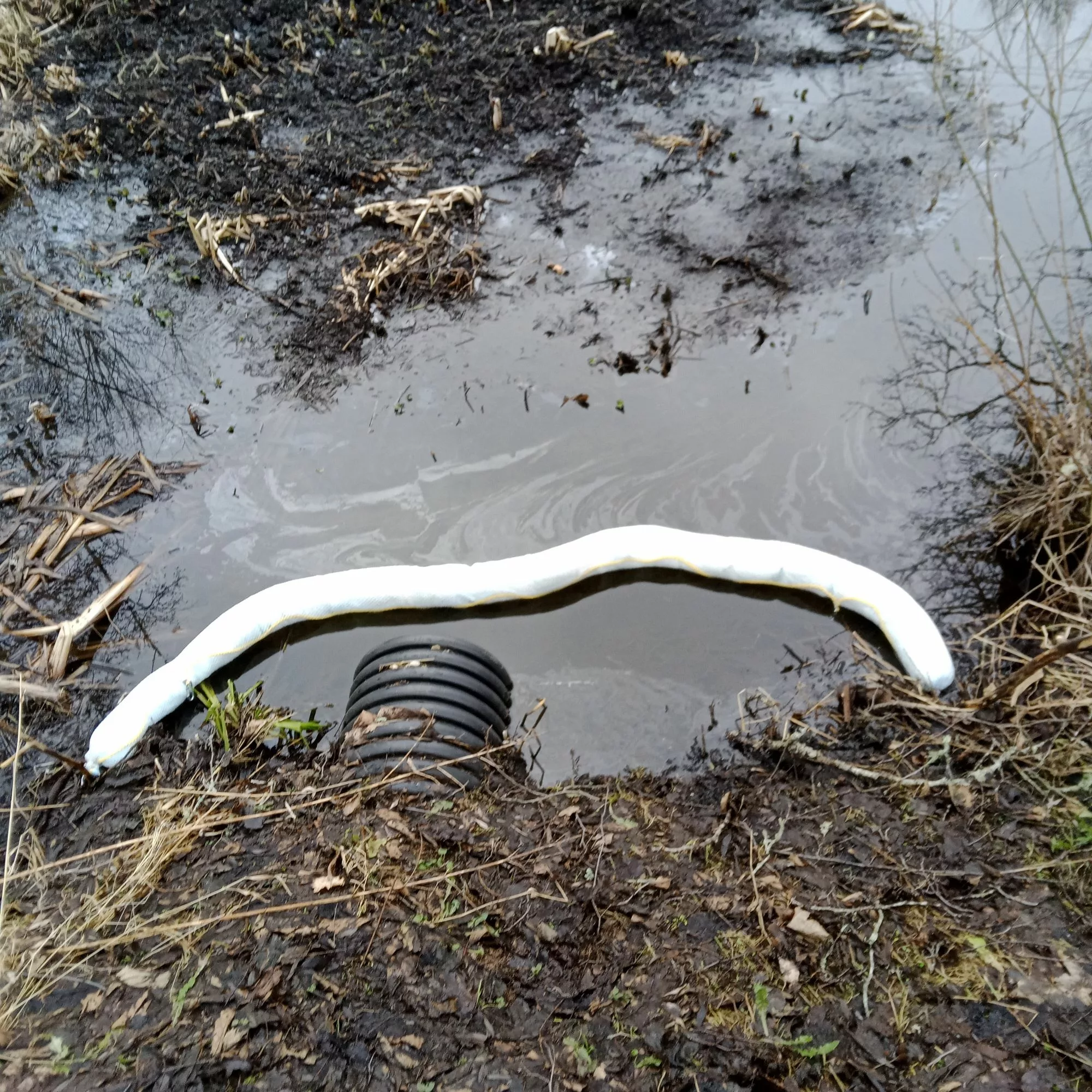 Saarepeedi õliresostus