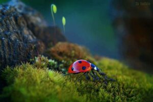 1014287_10200775028592716_1028749522_n