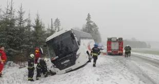 Polva v Joosu liinibuss4