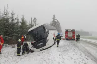 Polva v Joosu liinibuss4