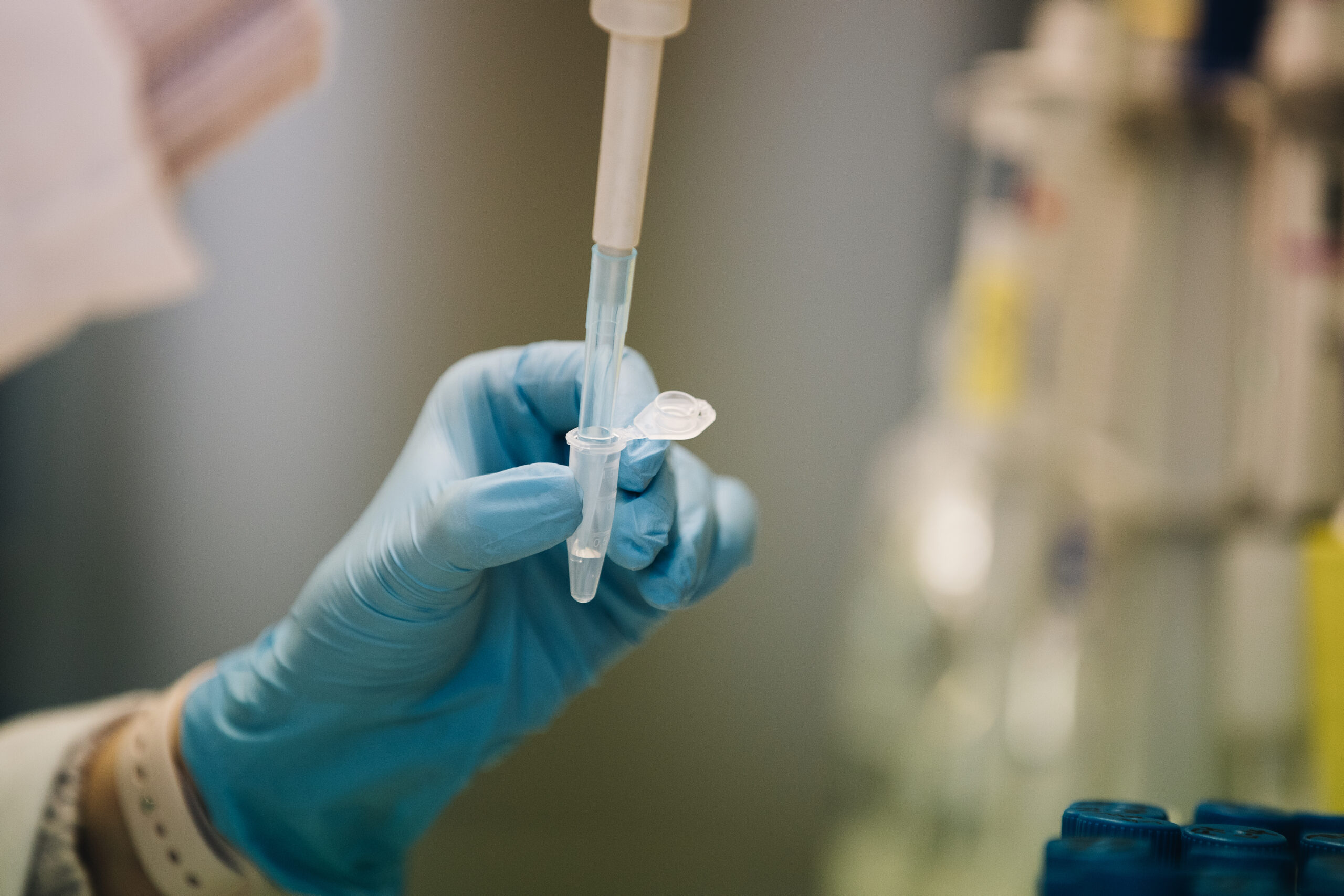 Poisslaste munandite väärarengu varjus võib peituda hoopis tõsisem geneetiline arenguhäire 1 cc2a1961_51943829008_o