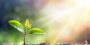 Giving-birth-to-Life-1080x608-1-660x330