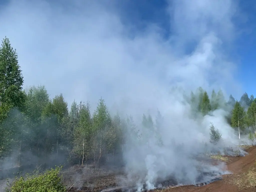 Konju maastikupoleng 20.05.24 1