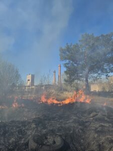 Oru_maastikupoleng_11.05.24