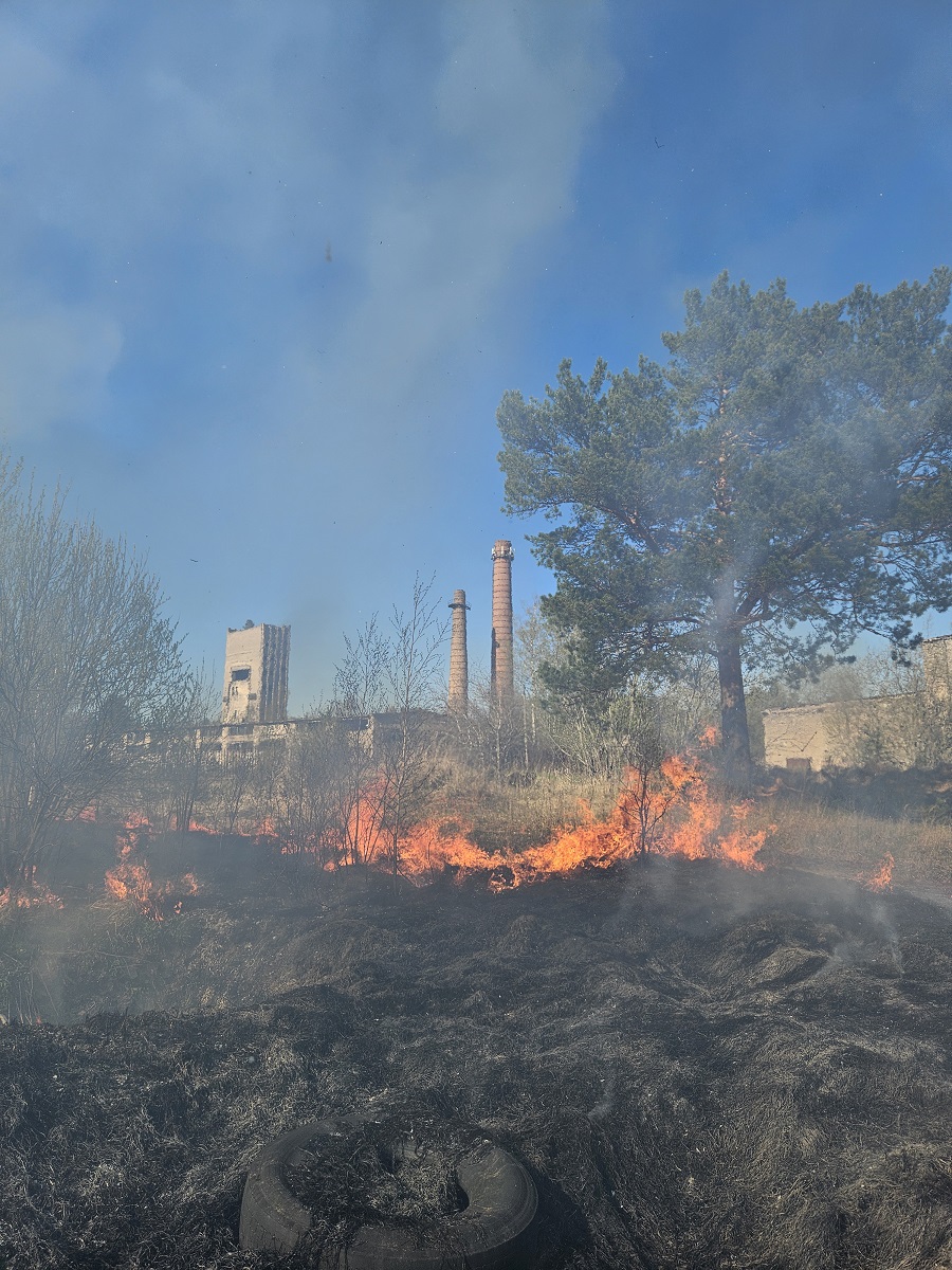 Oru_maastikupoleng_11.05.24