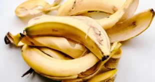 banana peels 950x500 1