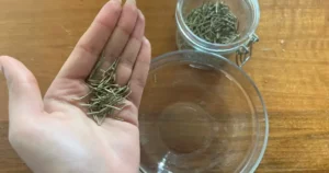 mix-rosemary-950x500