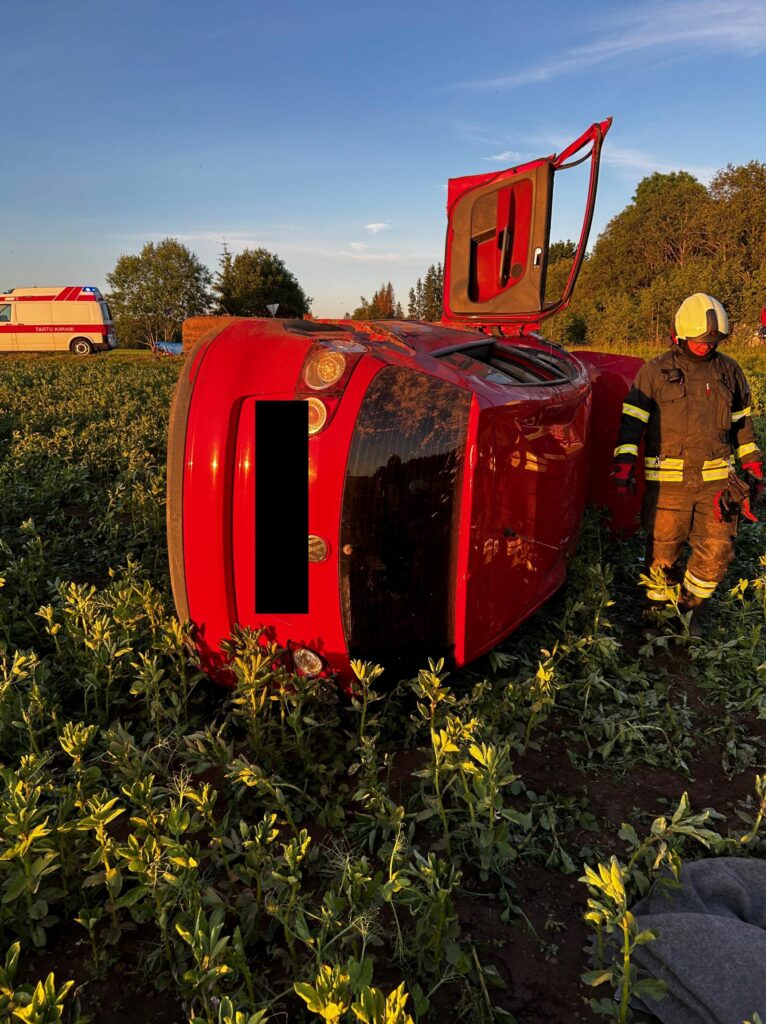 Lustivere liiklusonnetus 1