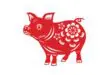 chinese yr pig