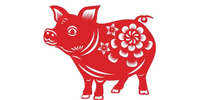 chinese yr pig