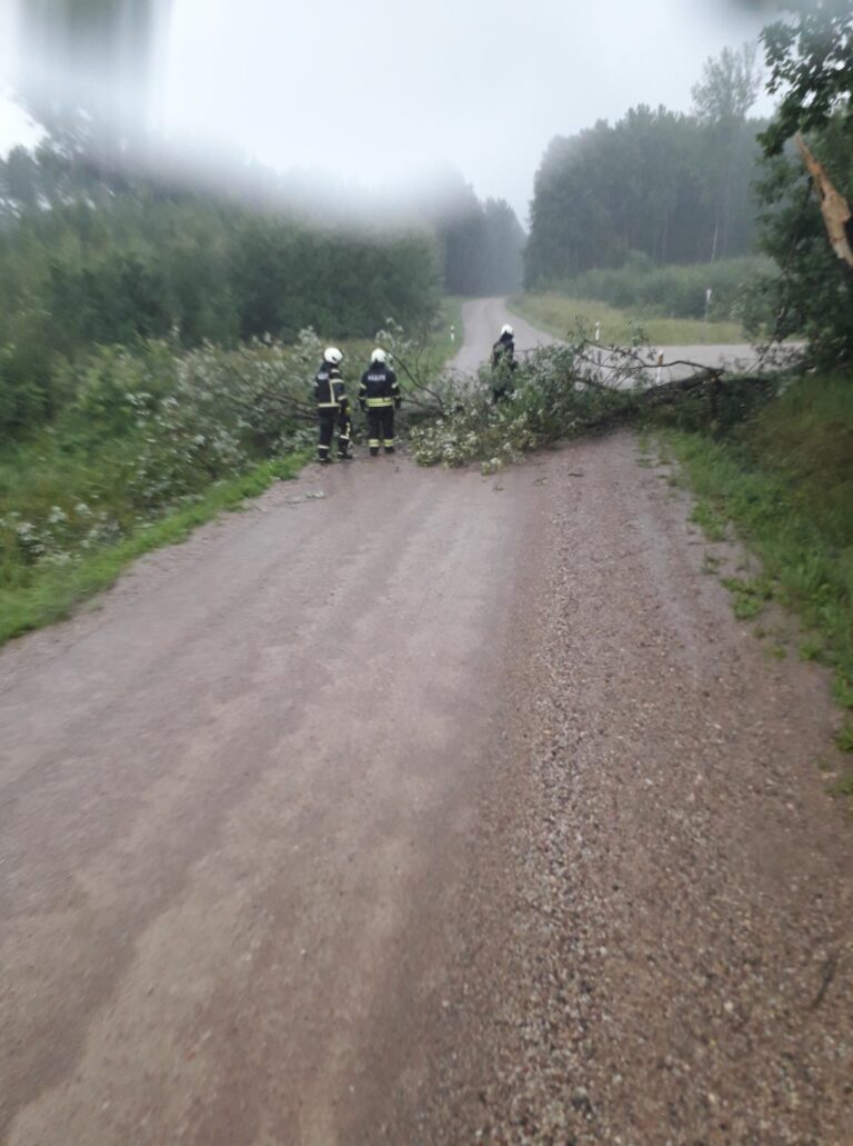 Mägiotsa