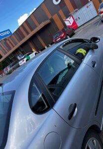 Noos-lapse-paastmine