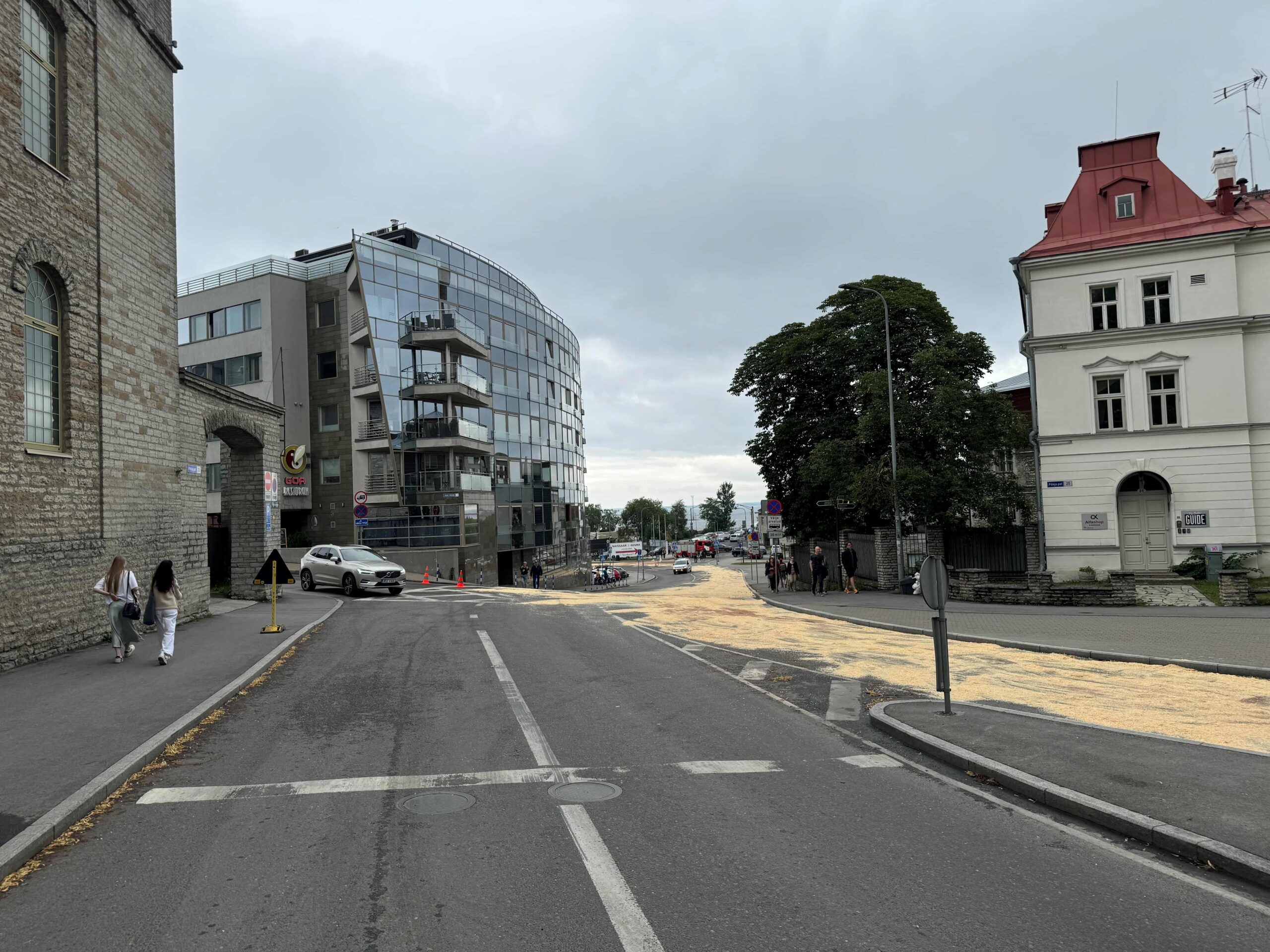 Toiduõli reostus Kalasadama teel_12.07_2