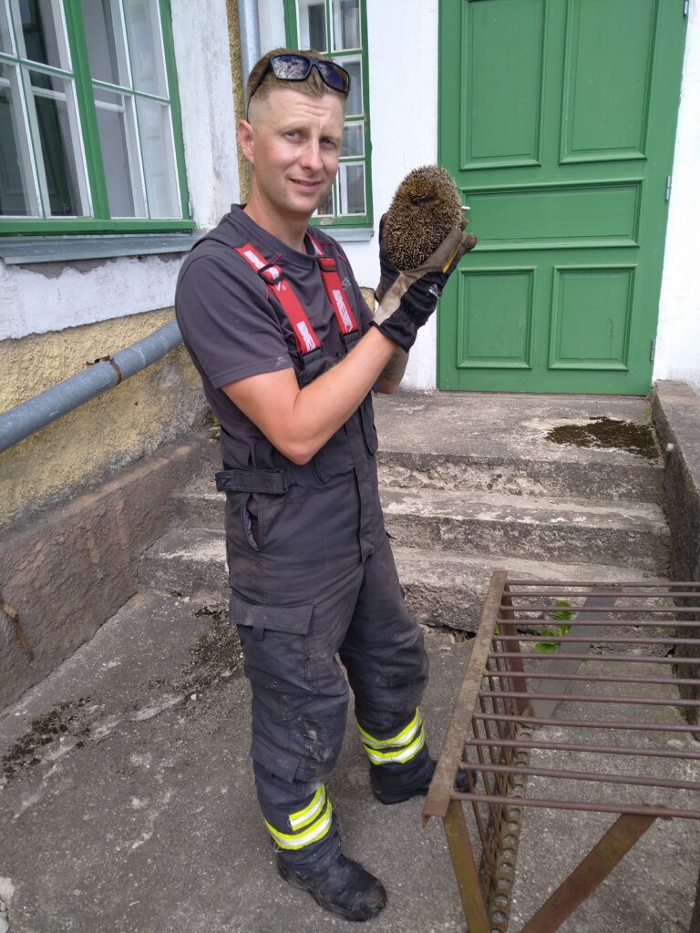 Ida päästekeskuse sündmused 28. juuni – 1. juuli 2024 3 V Maarja siil 30.06.24