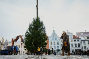 Joulukuuse mullune paigaldamine Ellen Rudi Tallinna Strateegiakeskus