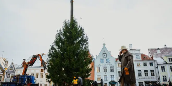 Joulukuuse mullune paigaldamine Ellen Rudi Tallinna Strateegiakeskus