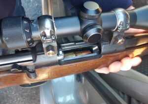 Relv_foto autor Keskkonnaamet