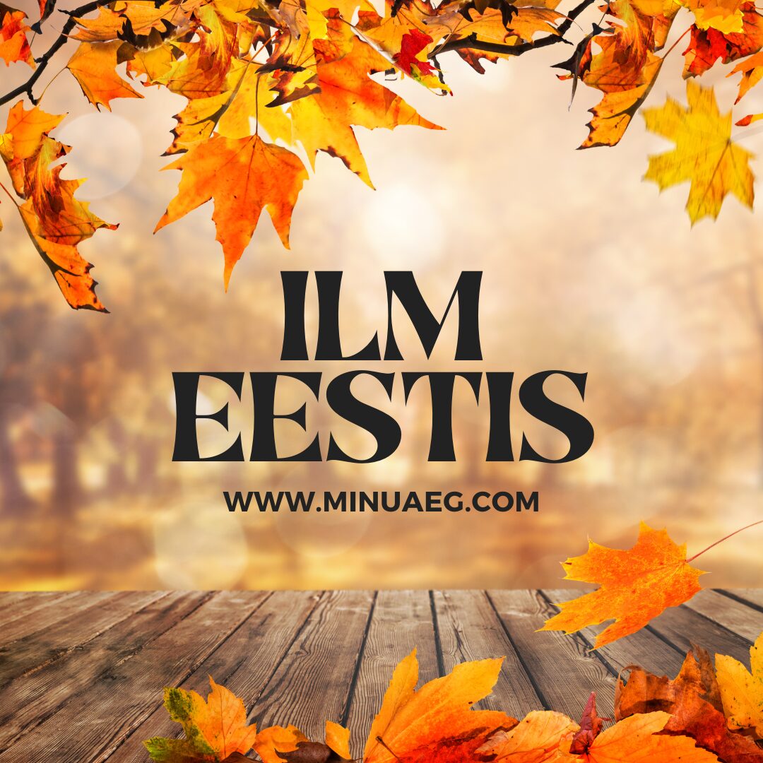 ILM: 12.11 - Mitmel pool sajab vähest vihma, sooja kuni +7°C. 1 ilm, minuaeg.com