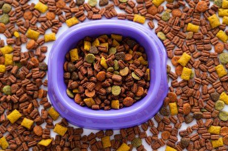 Tervislik toit hambaprobleemidega vanematele koertele - nipid ja trikid 5 article thumb 1