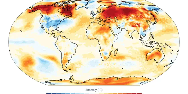 C3S PR 202501 Fig1 map surface temperature anomaly global