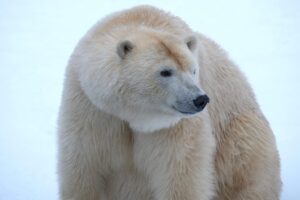 jaakaru-Imaq_foto-Inari-Leiman-1024x683