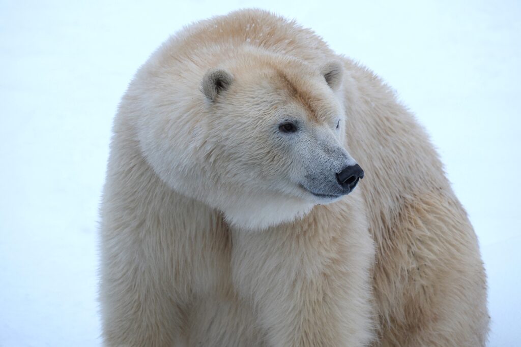 jaakaru-Imaq_foto-Inari-Leiman-1024x683