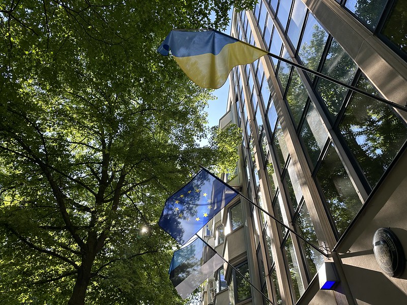 54532163861_329f936292_c