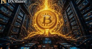 dnminer extracted image