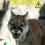 PUUMA