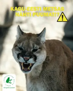 PUUMA