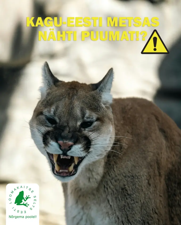 PUUMA