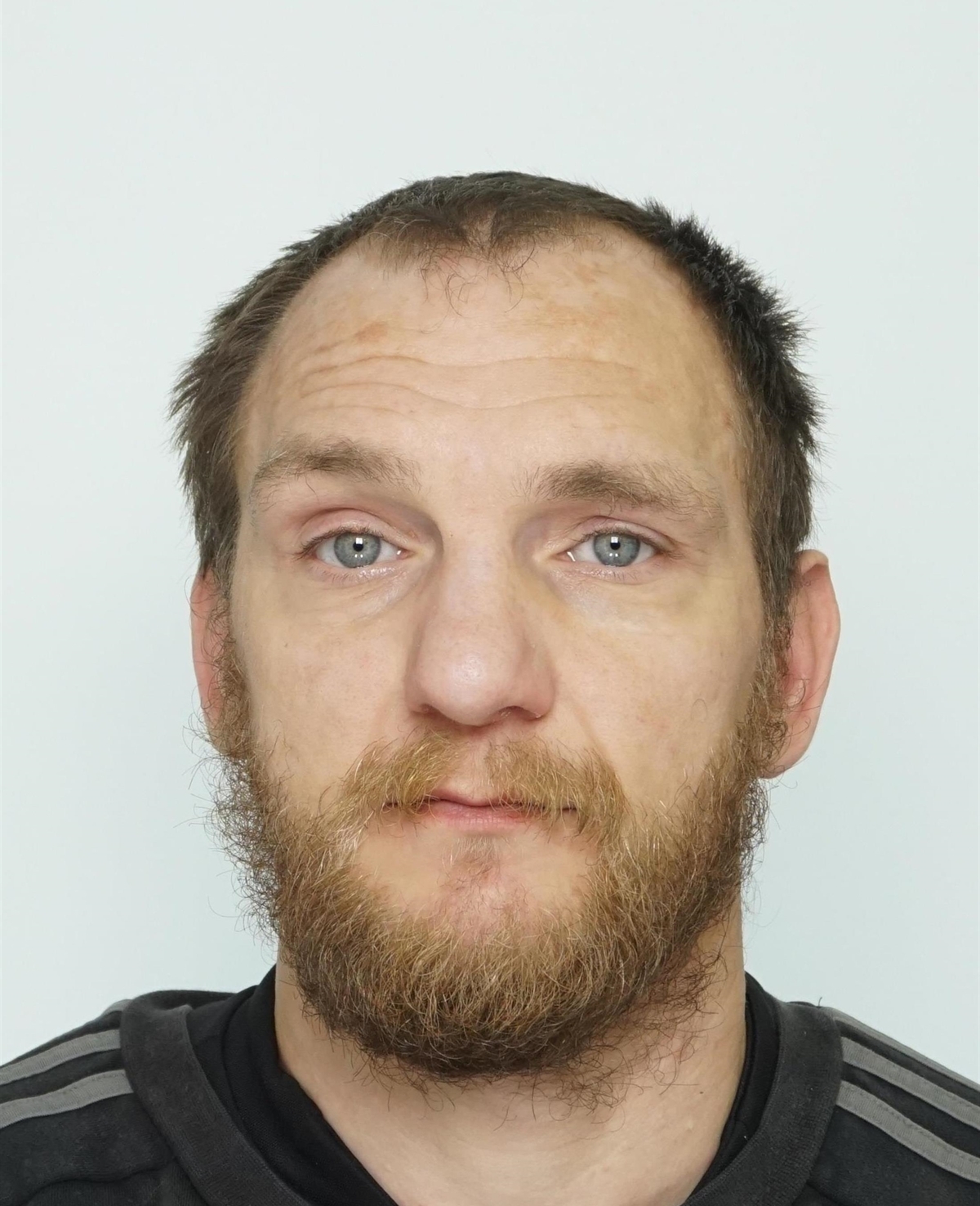 A.LIukko