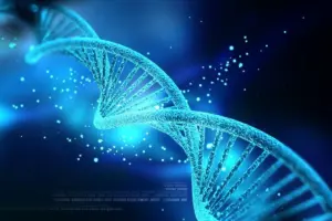 geen dna