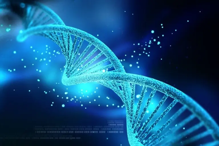 geen dna