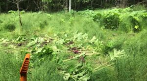 putk_kaevamine_Agrinate2020_PVV033