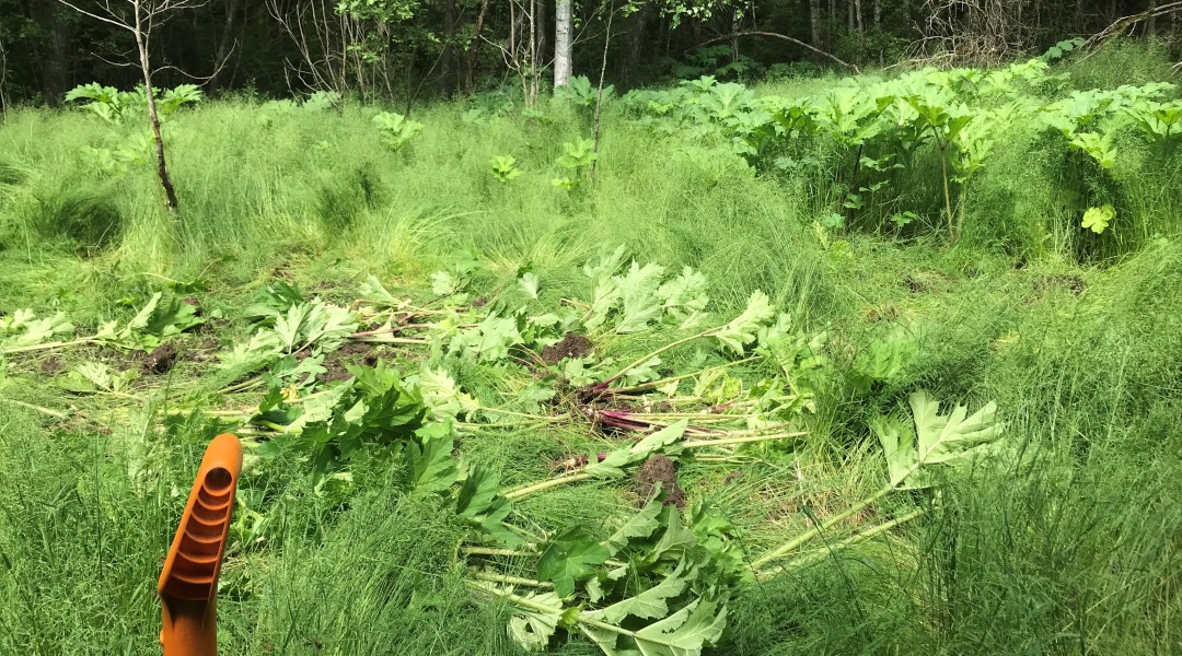 putk_kaevamine_Agrinate2020_PVV033