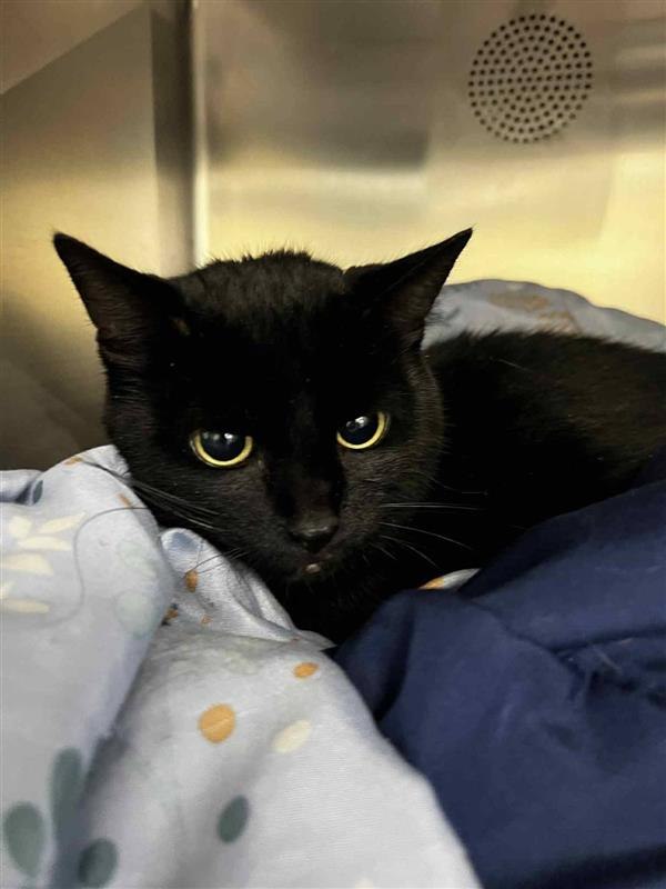 619845100_1296816075822504_2774442984921379836_n