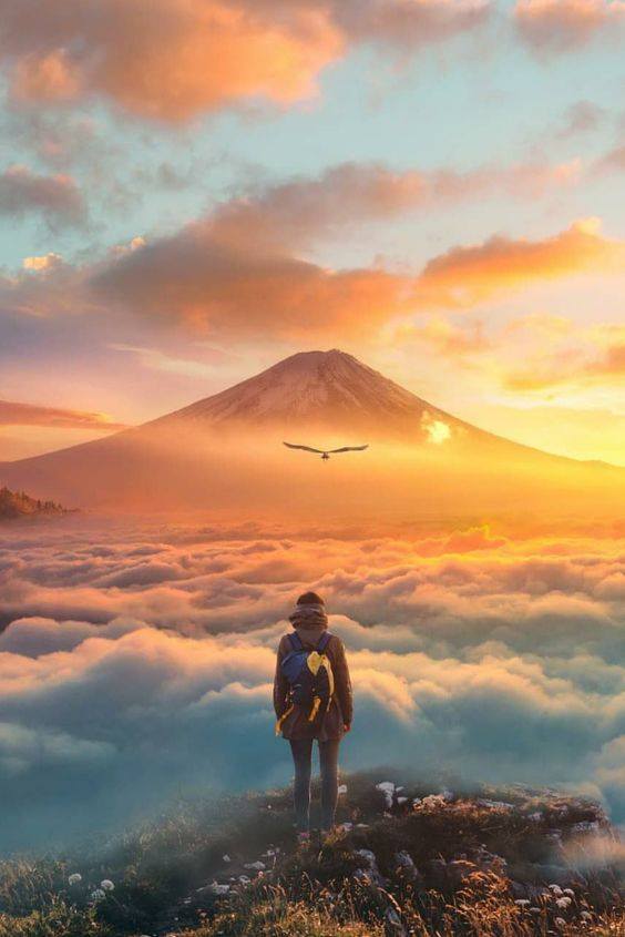 52109953_10219928241251062_6101159244793380864_n