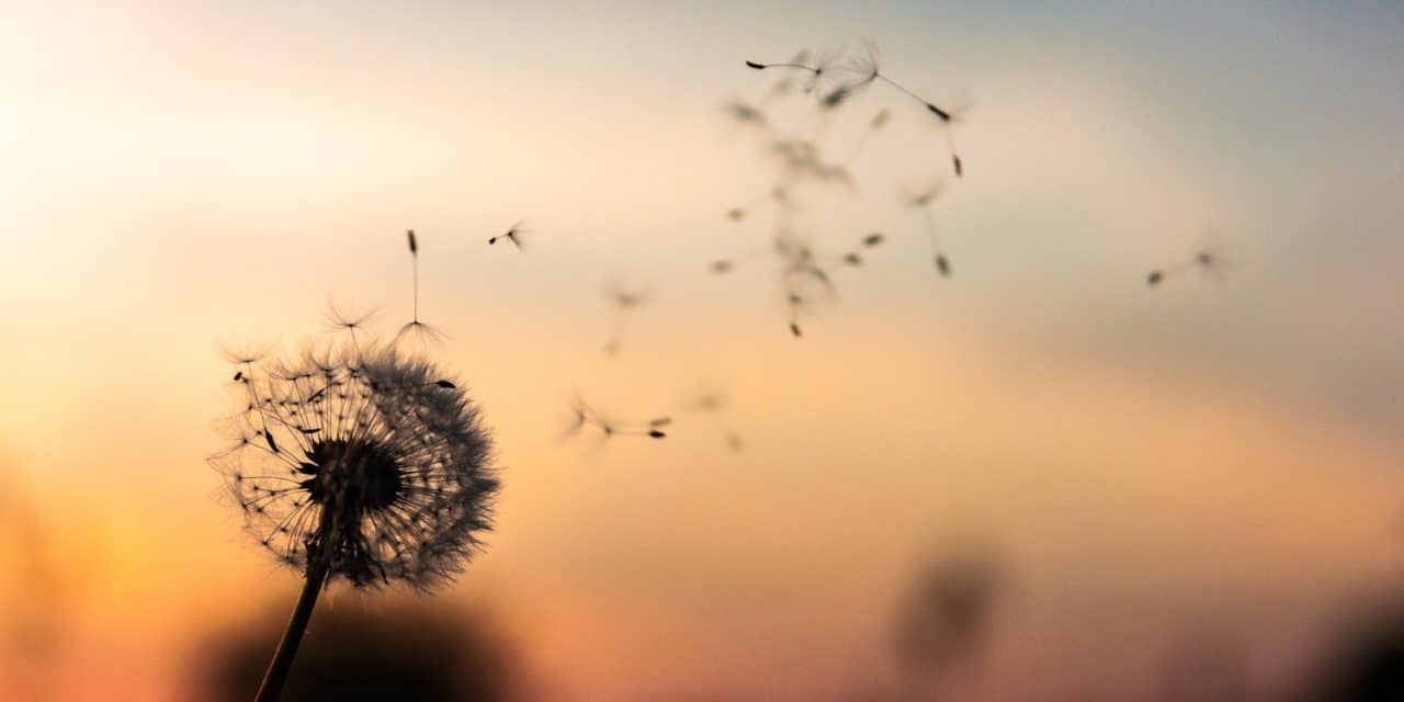 Character of a person