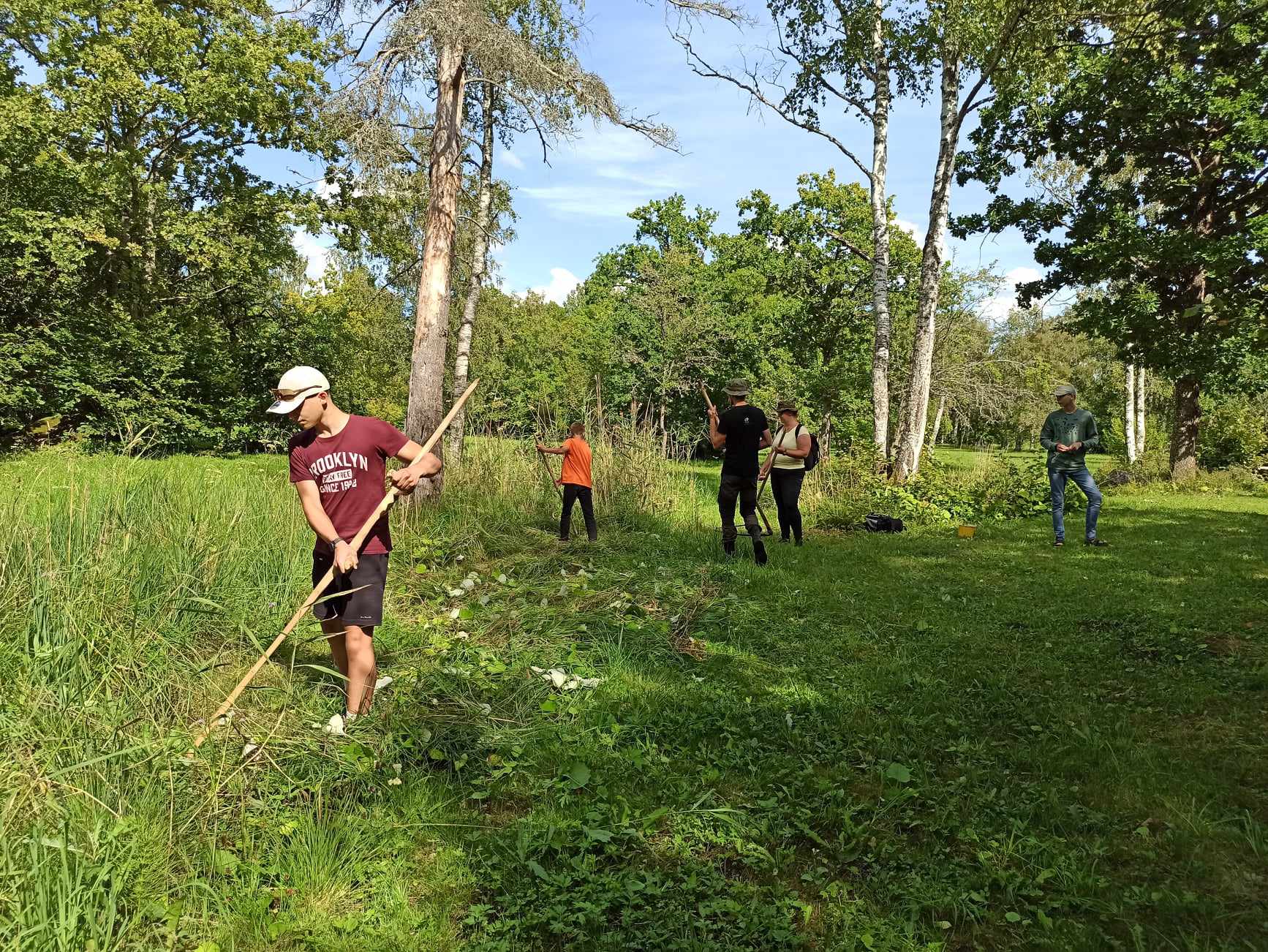 Laelatu puisniidul niitmine_foto Kalle_K6llamaa