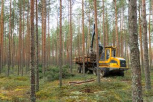 Foto: Jarek Jõepera