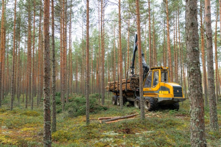 Foto: Jarek Jõepera